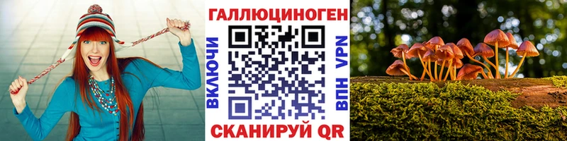 Галлюциногенные грибы Psilocybe  Шумиха 